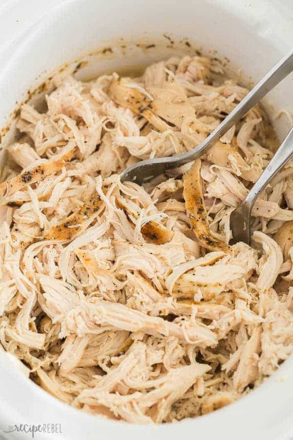 crockpot shredded chicken recipe in white slow cooker with two forks stuck into the meat