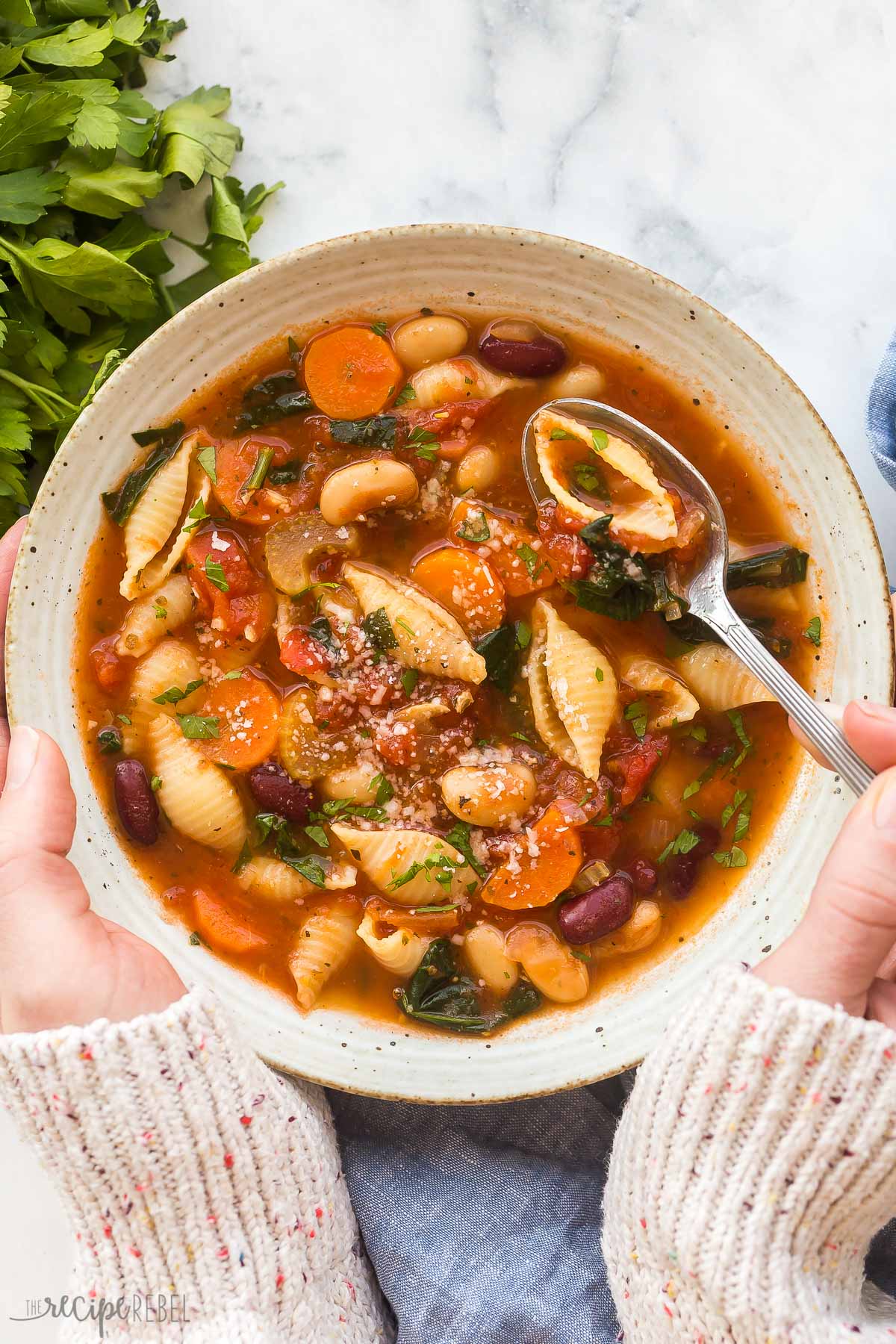 overhead image of two hands holding bowl of minestrone soup