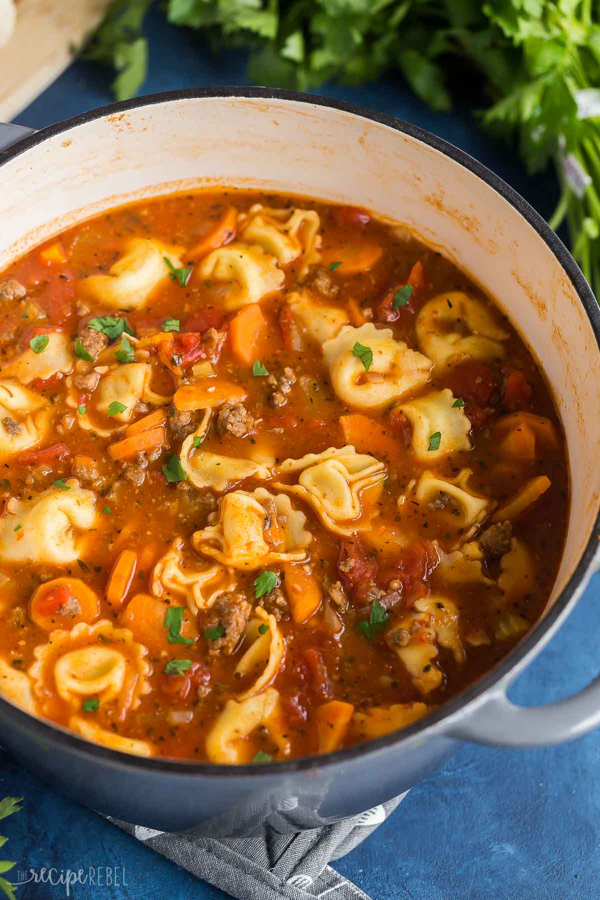 The BEST Sausage Tortellini Soup [VIDEO] - The Recipe Rebel