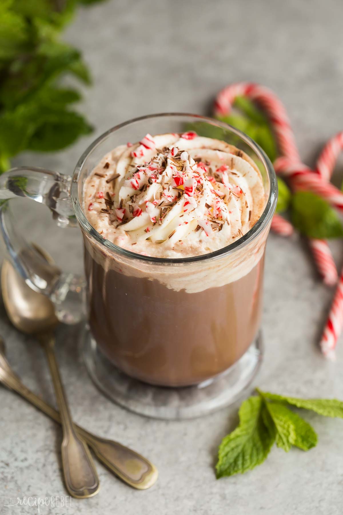 peppermint mocha with whipped cream and candy canes and mint leaves around.