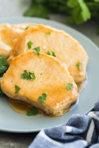 glazed crock pot pork chops on plate