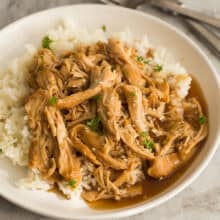 instant pot honey garlic chicken with rice