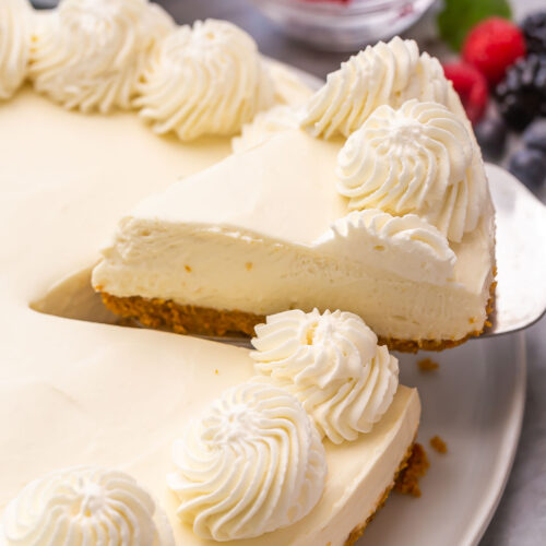 Simple Cheesecake Recipe without Springform Pan - The Quick Journey