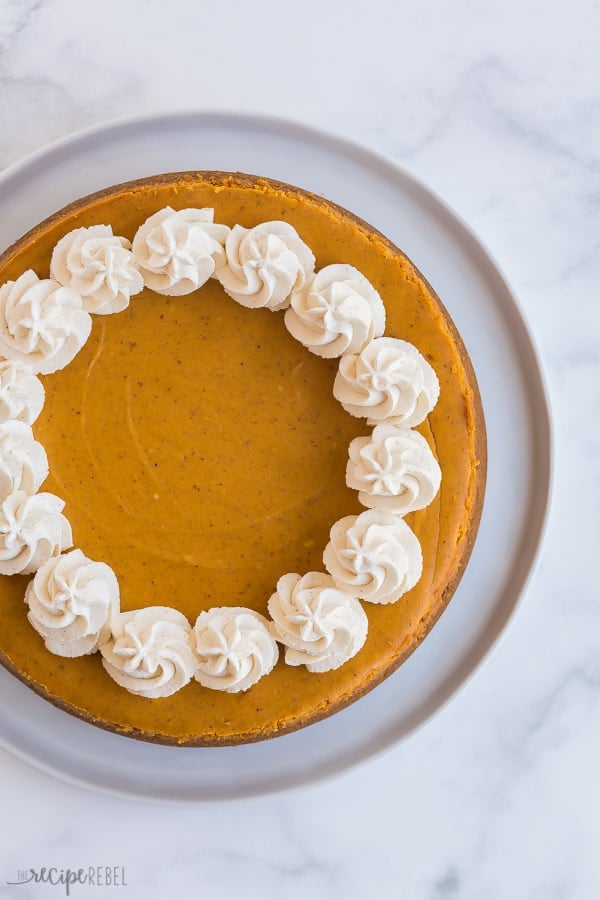 This Pumpkin Cheesecake is creamier and easier than the rest, thanks to one secret method and no water bath! #cheesecake #pumpkin #pumpkinspice #thanksgiving #dessert pumpkin cheesecake overhead whole on white plate with whipped cream swirls