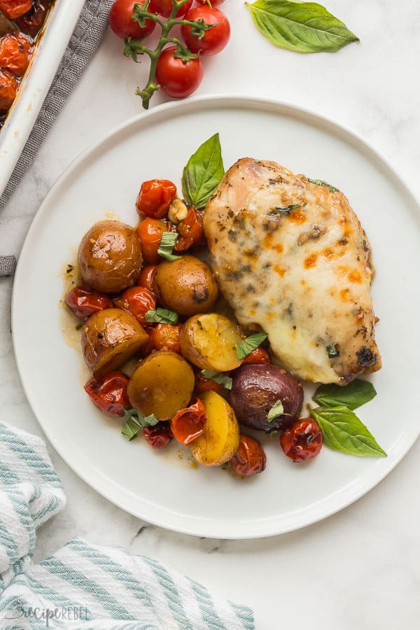 chicken caprese overhead on white plate on white background with cherry tomatoes and fresh basil