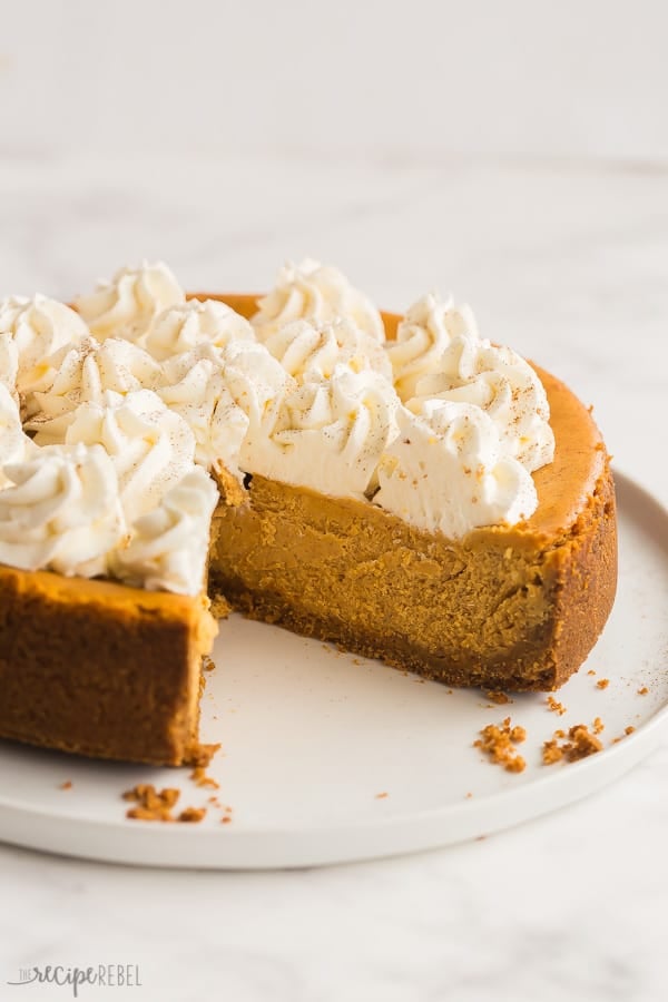 pumpkin cheesecake on white plate with whipped cream swrils and white background