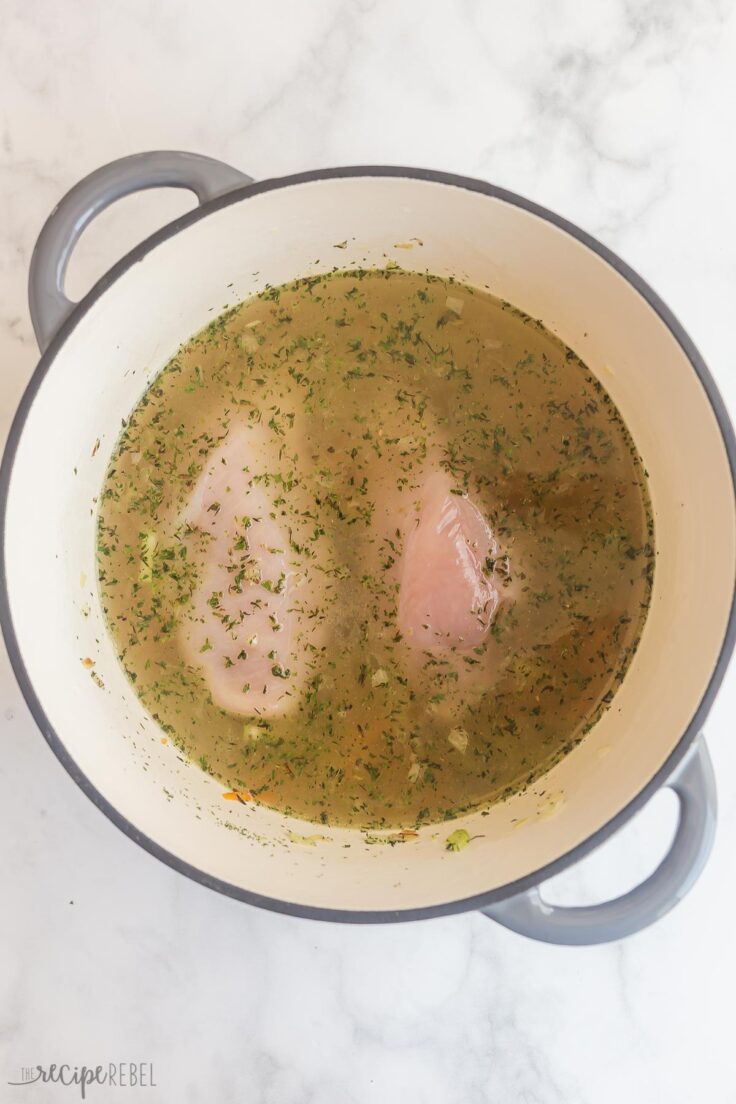 broth and chicken breasts added to soup in pot