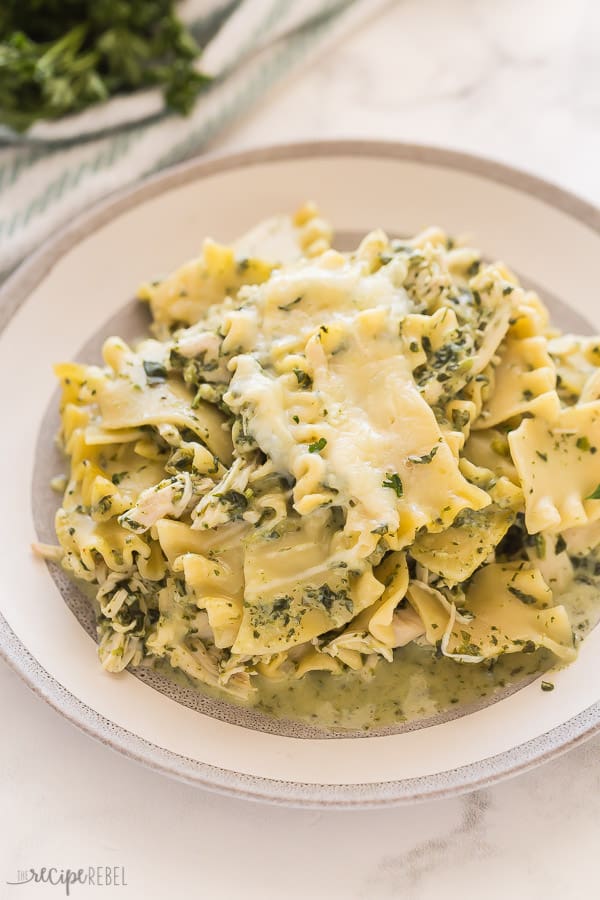 white chicken lasagna on grey plate on white background with parsley in background