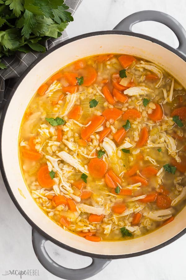 chicken barley soup overhead in grey dutch oven on white background