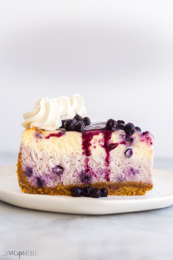 blueberry cheesecake slice profile with blueberry sauce and whipped cream