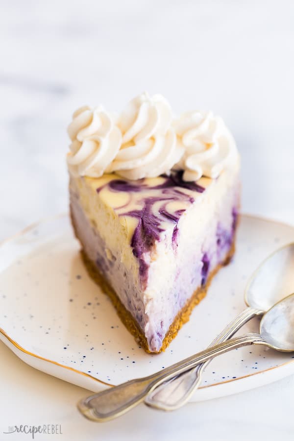 blueberry cheesecake one slice on speckled white plate with two spoons