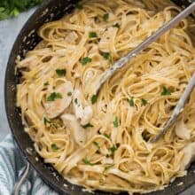 chicken fettuccine alfredo overhead