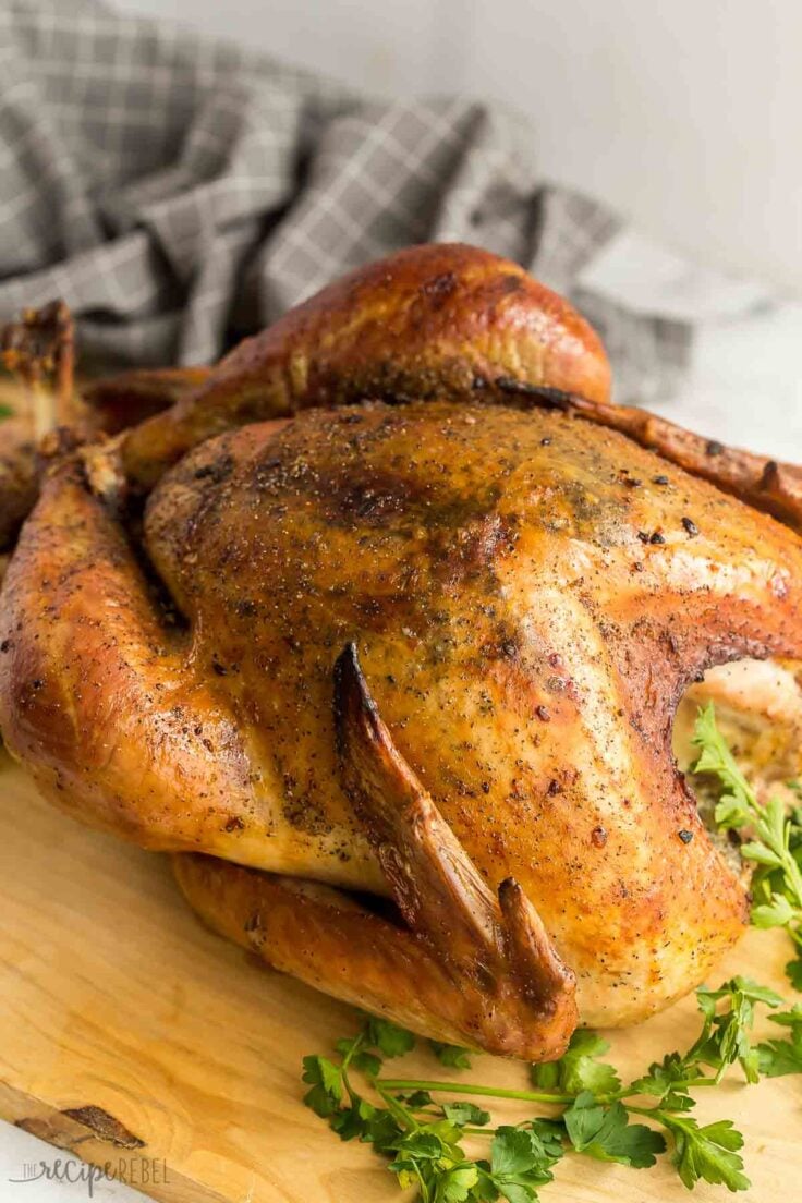 close up image of dry brine roast turkey whole