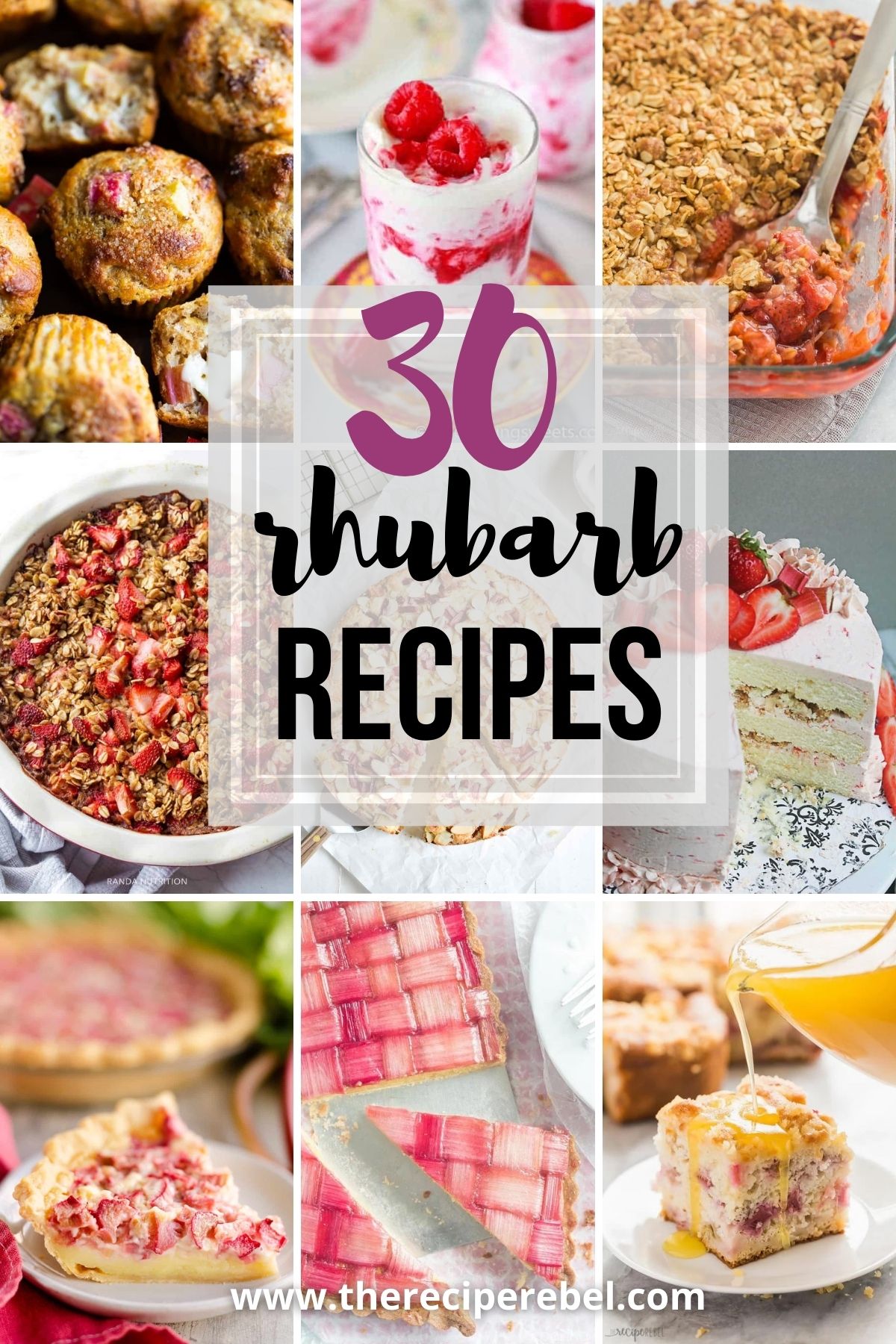 Title image for 30+ Rhubarb Recipes
