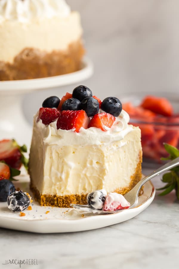 Easy Instant Pot Cheesecake (SO creamy!) - The Recipe Rebel