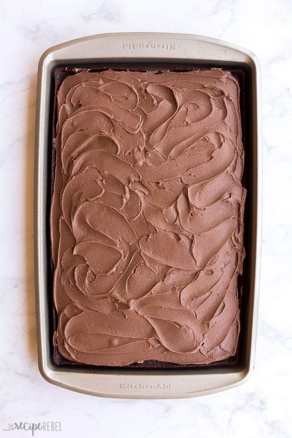 overhead image of chocolate sheet cake in pan with frosting