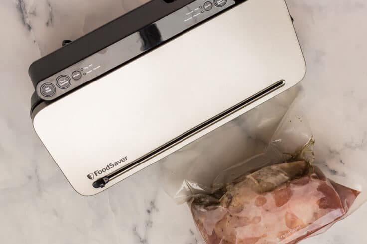 foodsaver with frozen turkey breast vacuum sealed in marinade
