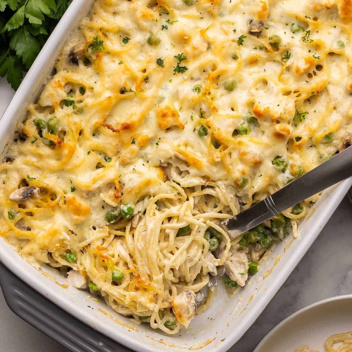 Chicken Tetrazzini-image