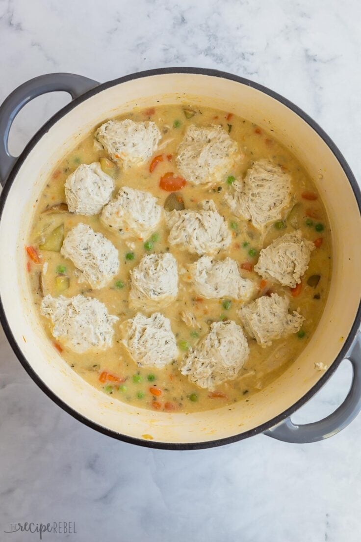 uncooked dumplings mixture spooned onto stew