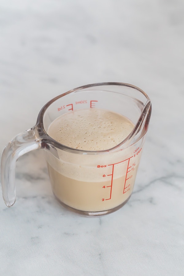 activated yeast in warm water in glass measuring cup