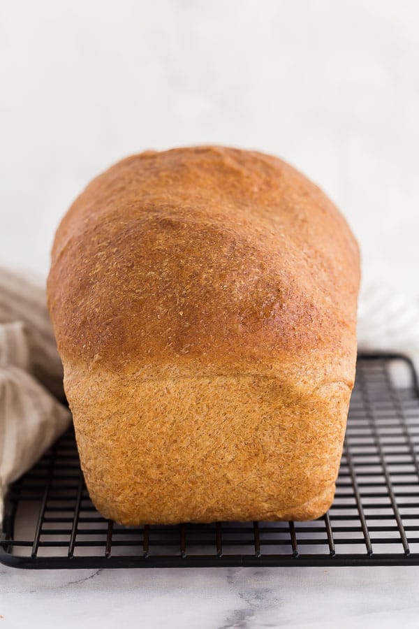 This Whole Wheat Bread is light and fluffy, and easier to make than you might think! A hearty and healthy loaf for sandwiches, toast and more. #bread #baking #recipes whole loaf of whole wheat bread on cooling rack