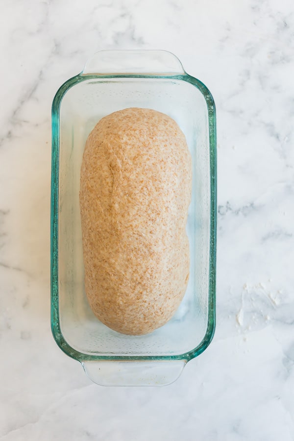 shaped loaf in glass loaf pan before rising