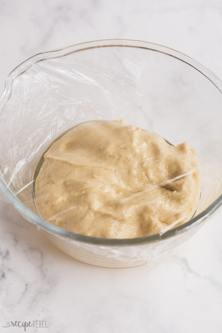 brioche bun dough before first rise