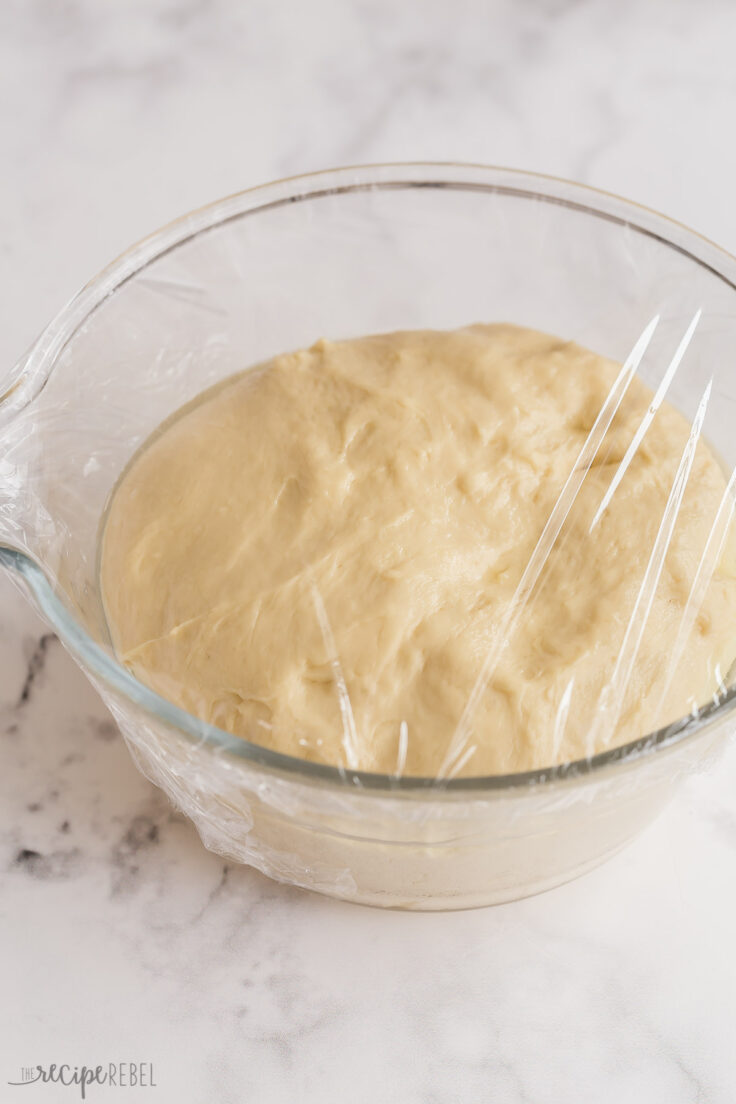 brioche bun dough after first rise