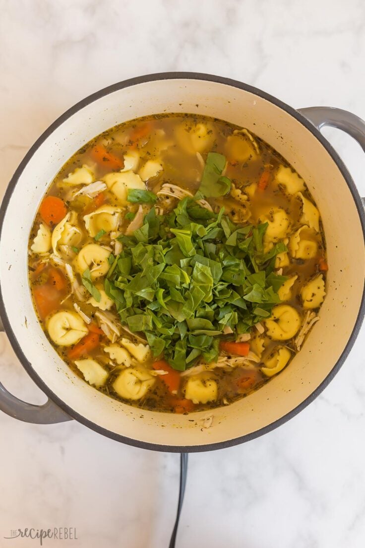 cheese tortellini and fresh spinach added to soup