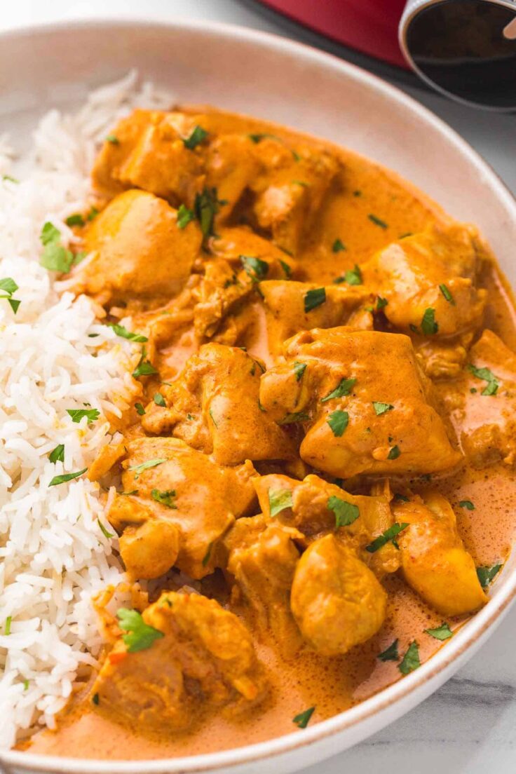 close up image of slow cooker butter chicken with rice