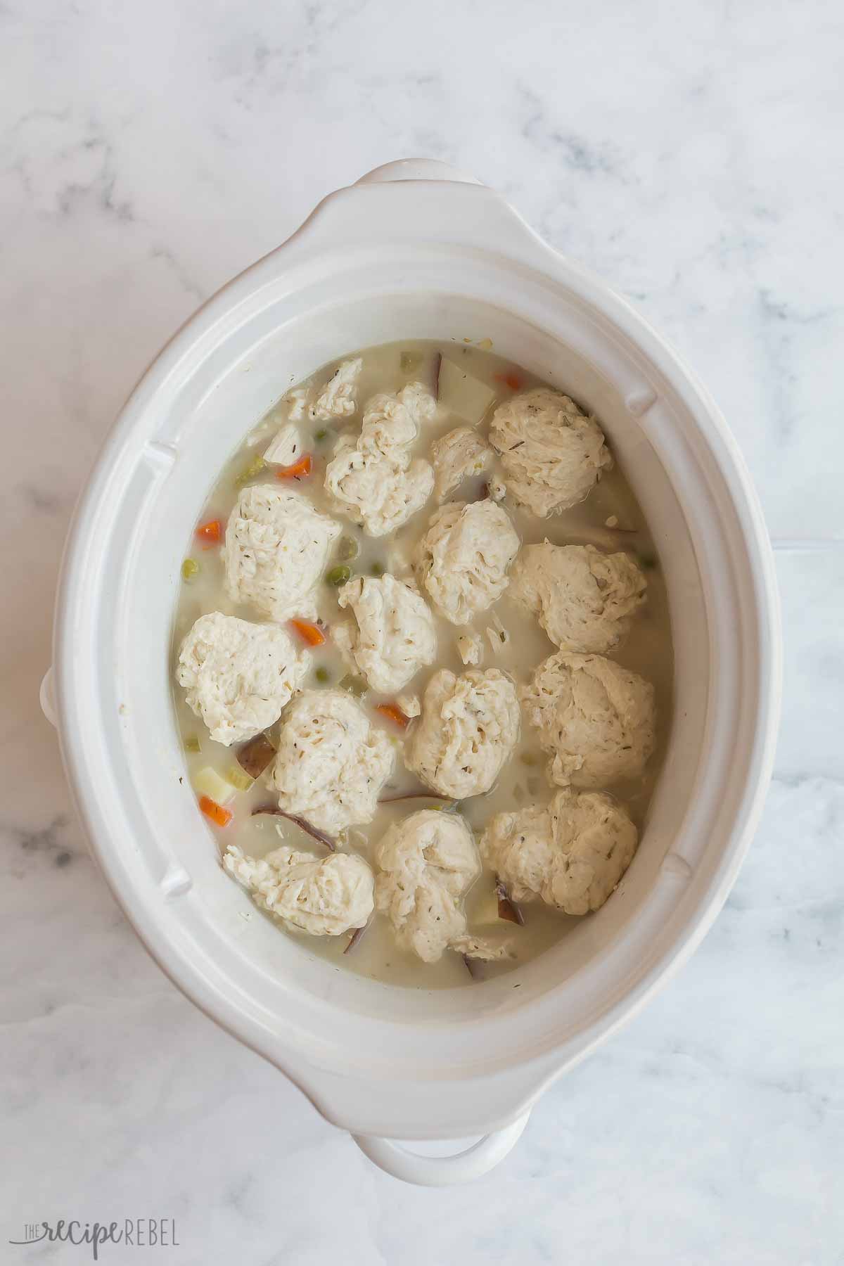 Easy Crockpot Chicken and Dumplings [VIDEO] The Recipe Rebel