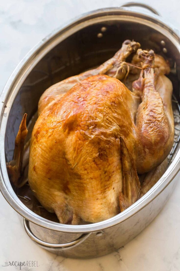 whole roast turkey in roasting pan with golden skin