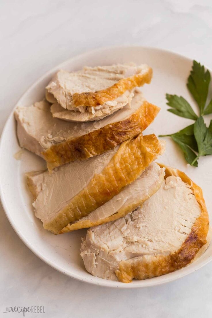 sliced turkey breast with golden skin on a plate