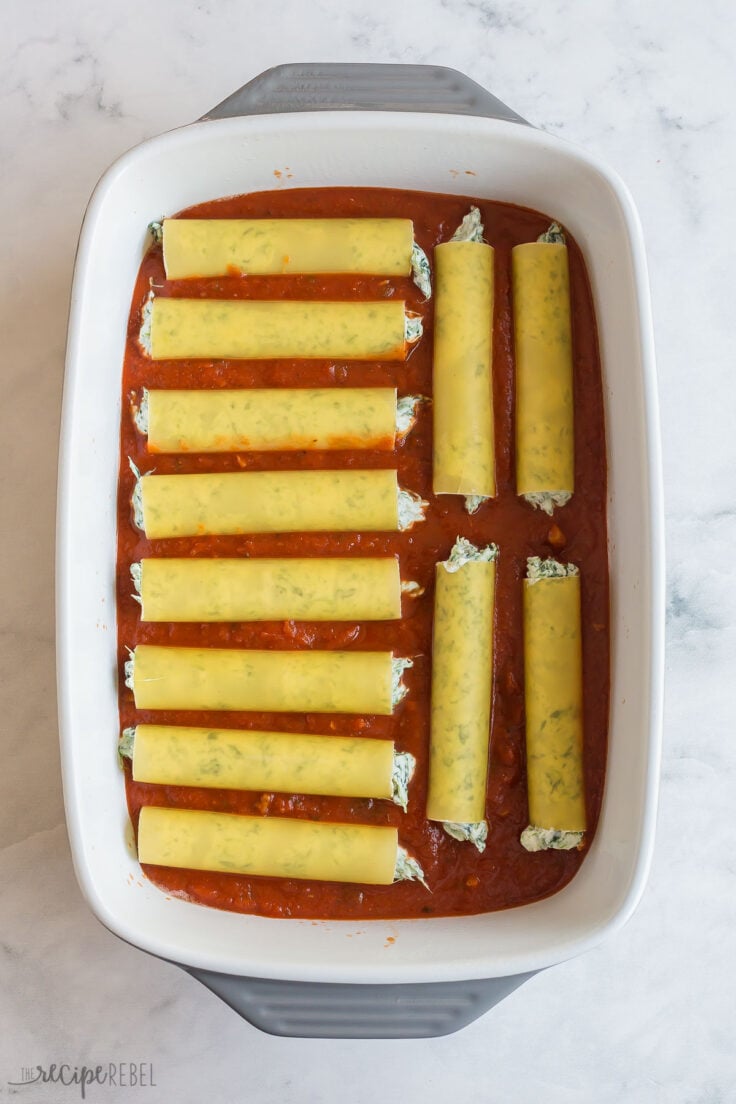 filled cannelloni noodles on layer of sauce in a baking dish