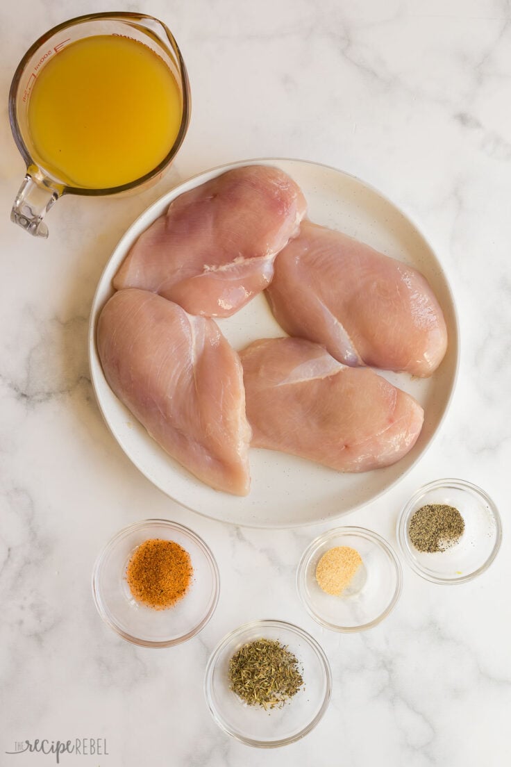 ingredients for shredded chicken on white background