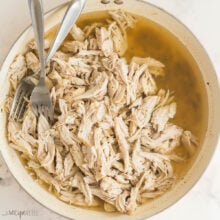 square image of shredded chicken with two forks in skillet