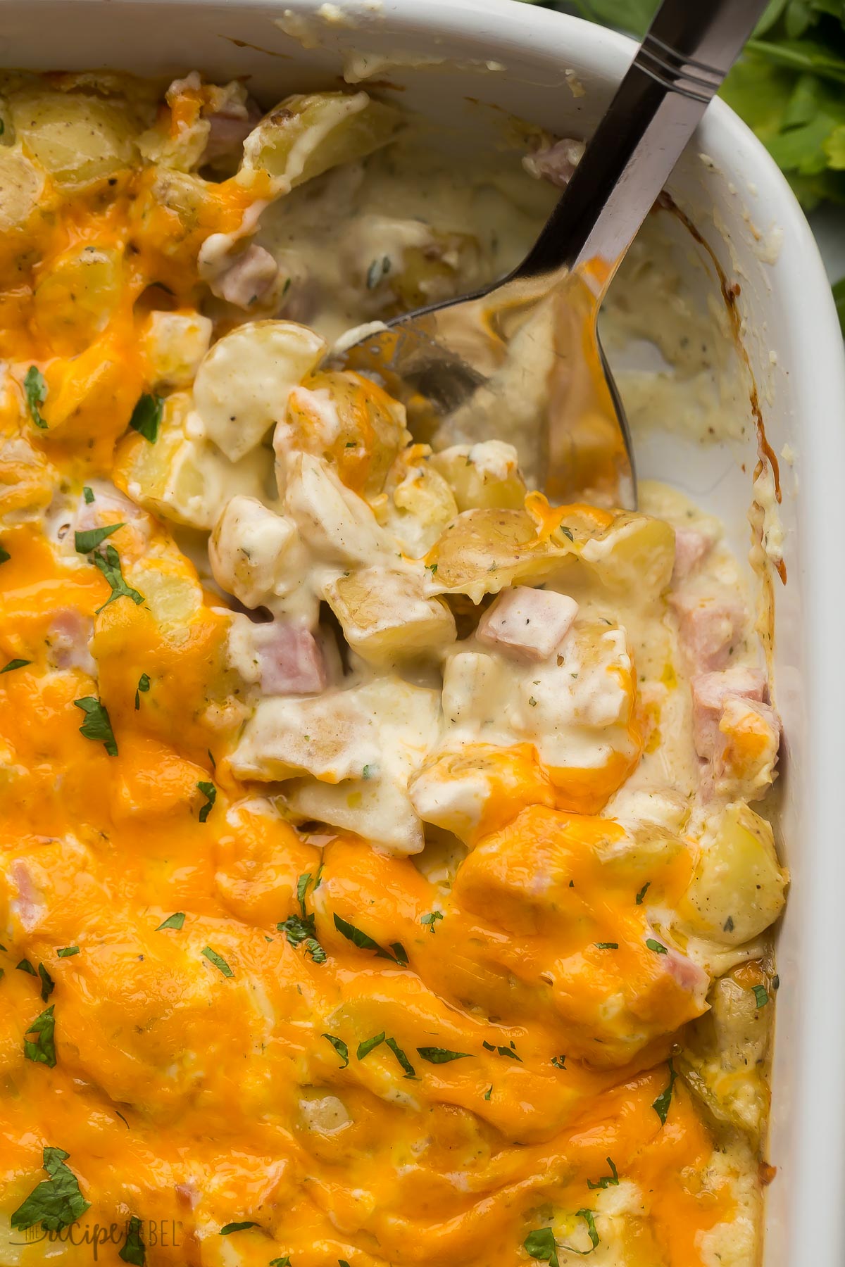 close up image of metal spoon stuck in cheesy ham and potato casserole