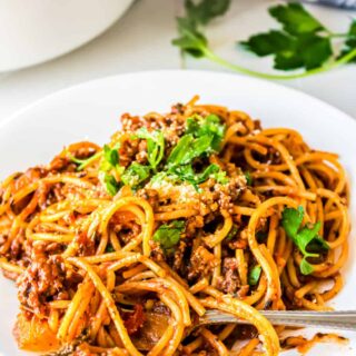 One pot turkey spaghetti on a plate.