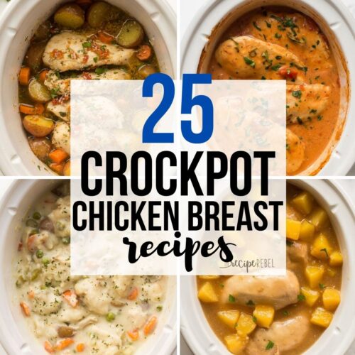Viva Stewart ø Ekstraordinær Easy Crockpot Chicken Breast Recipes | The Recipe Rebel