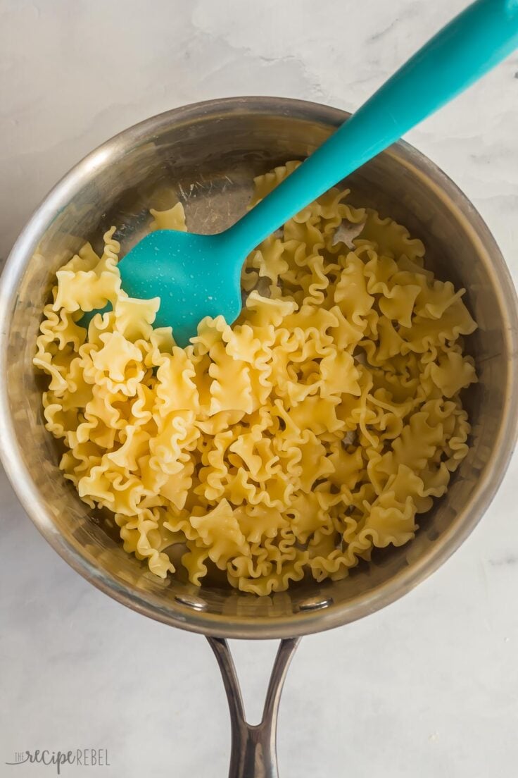 cooked pasta noodles drained in stainless steel pot