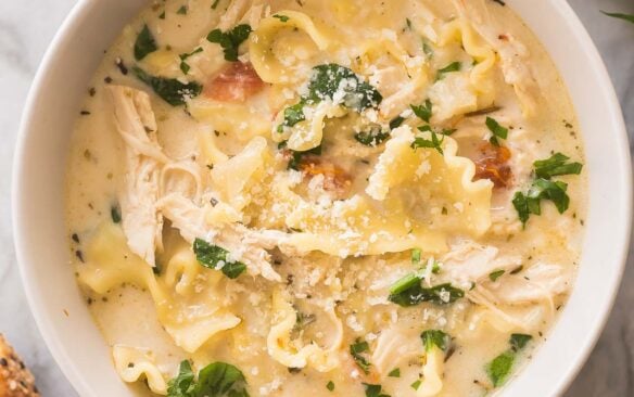 close up overhead image of white lasagna soup