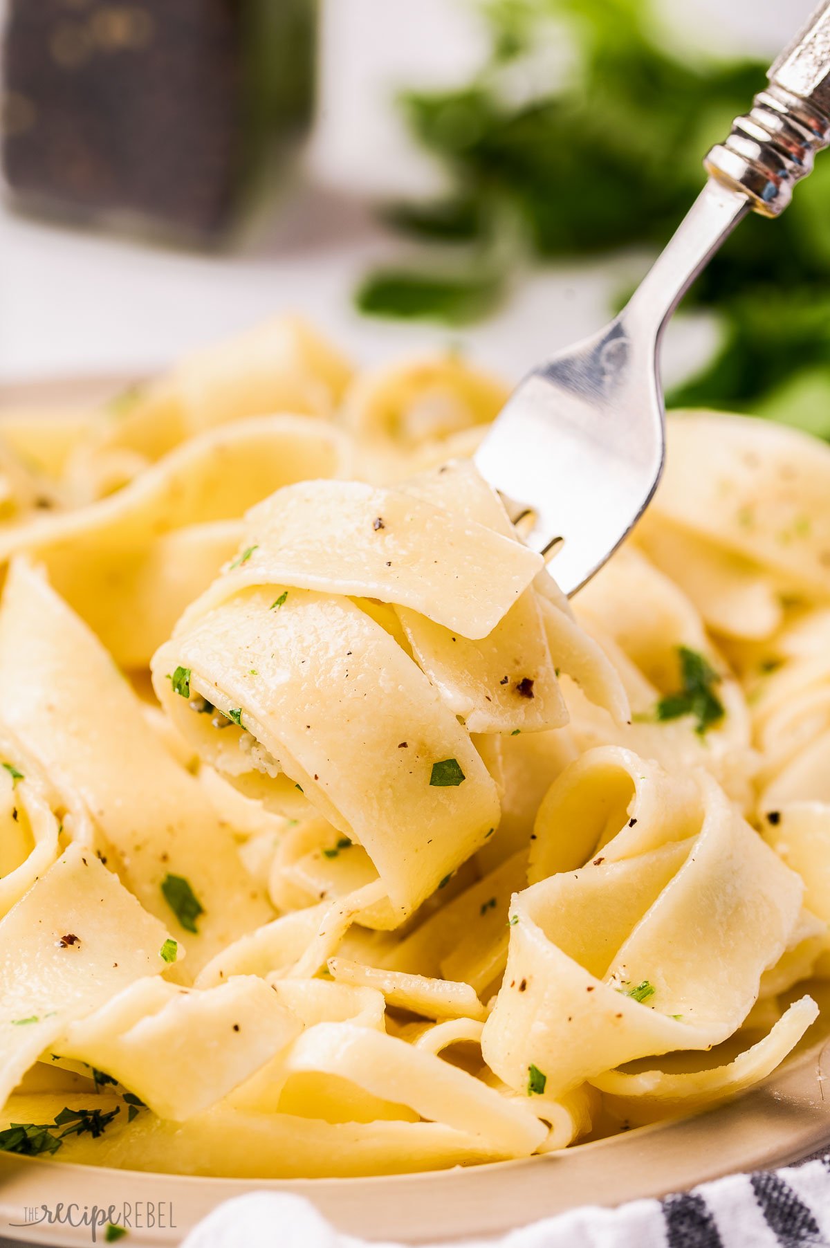 close up image of buttered noodles twirled around a fork