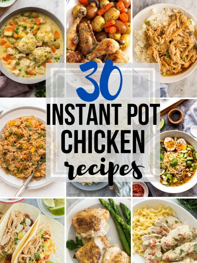 30 Instant Pot Chicken Recipes - The Recipe Rebel