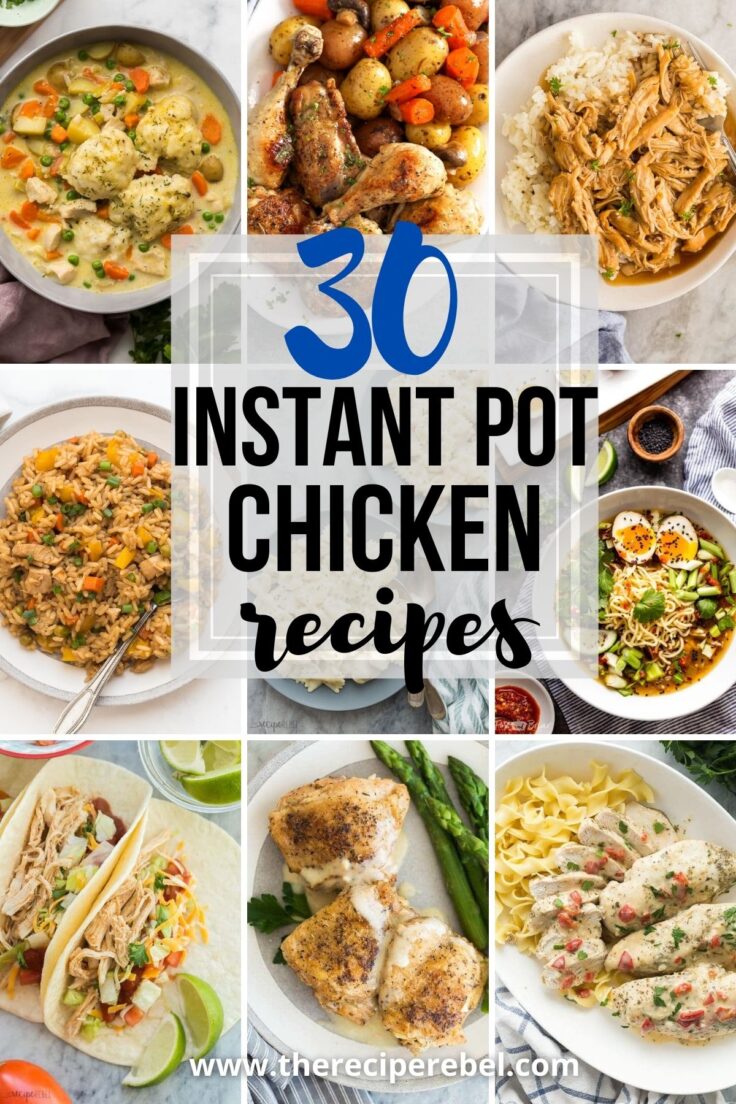 The Best Instant Pot Chicken Recipes | The Recipe Rebel