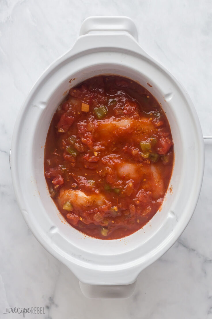 salsa poured over top of chicken breasts in slow cooker