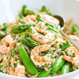 Close up of shrimp primavera pasta salad.
