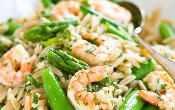 Close up of shrimp primavera pasta salad.