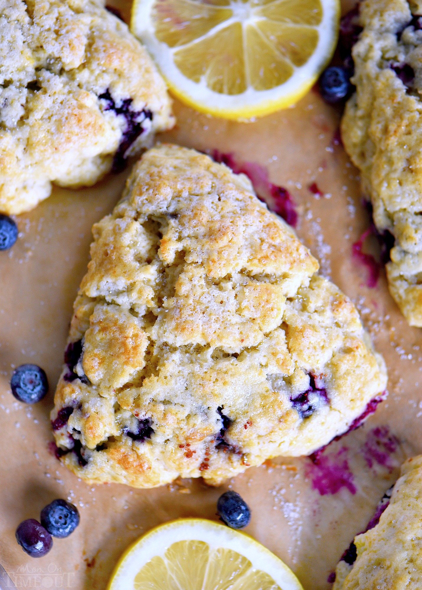 30 Easy Blueberry Recipes The Recipe Rebel