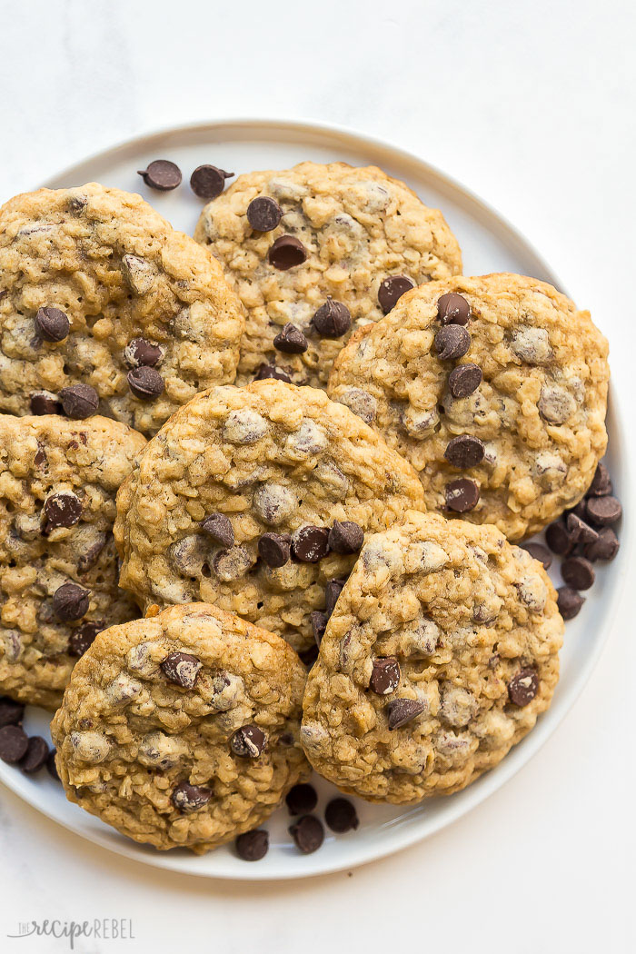 plate of oatmeal chocolate chip cookies on white background
