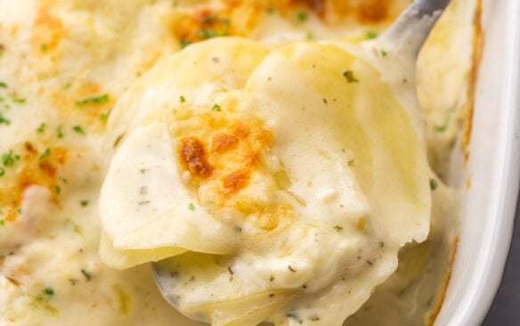 square image of a metal spoon scooping scalloped potatoes.